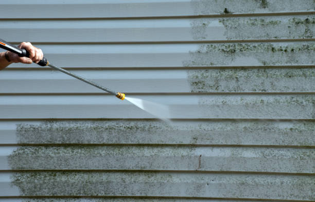 Best Mold Removal and Inspection  in Twentynine Palms, CA