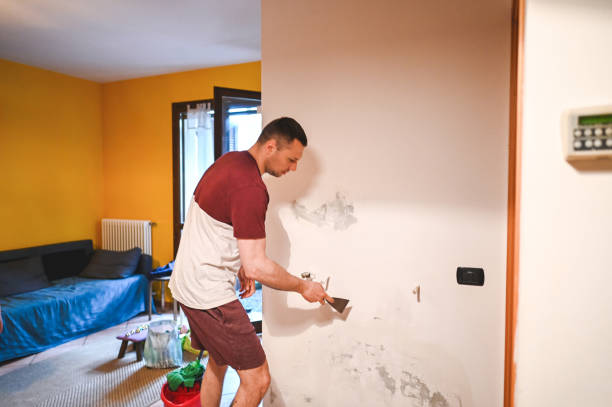Best Same-Day Mold Removal  in Twentynine Palms, CA
